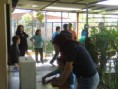 /album/eleccion-directiva/a01102011710-jpg/