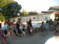 /album/fotogaleria-eventos-en-domingo-tocornal/dscn8258-jpg/